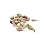 ثوم ذكر يمني